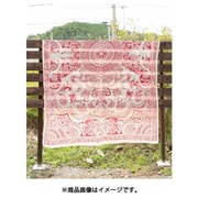 ISAP1269 [トライバルMC270 RED]