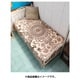 トライバルMC270 DK BROWN ISAP1269