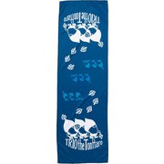 CAHP22A1 [トンタロークールタオル BLUE]