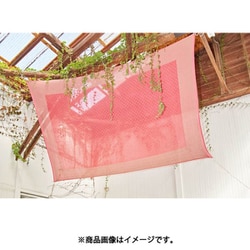 ハクリィループMC PINK ISAP21A6