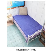ISAP21A6 [ハクリィループMC PURPLE]
