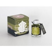 ギター 大正浪漫 ハイカラインキ エモーショナルオリーブ TRH-40ML-T70