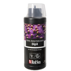 レッドシー Dip X 500ml