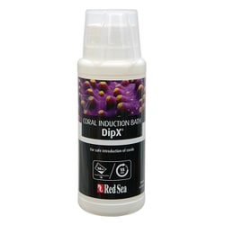 レッドシー Dip X 250ml