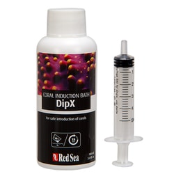 レッドシー Dip X 100ml