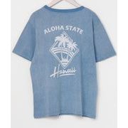 4ID-2201 [カプケアTシャツ レディース BLUE]