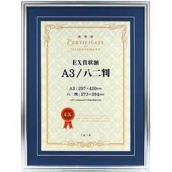 EX賞状額 A3/八二兼用判 シルバー EXSJ-A3-SL