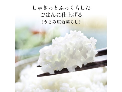 ヨドバシ.com - 象印 ZOJIRUSHI 圧力IH炊飯ジャー 5.5合炊き ヨドバシ.com - 象印 ZOJIRUSHI 圧力IH炊飯ジャー 5.5合炊き
