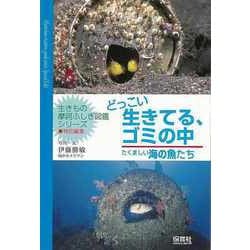 【バーゲンブック】どっこい生きてる、ゴミの中 たくましい海の魚たち-生きもの摩訶ふしぎ図鑑シリーズ [単行本]