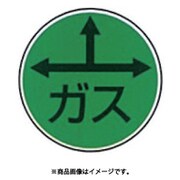 G-10 [ステンアイ]