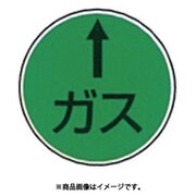G-12 [ステンアイ]