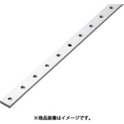 MB8-30-1 [カメダ メインバー L=1000]