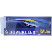 ラウ40 #12 ブラッディイワシ