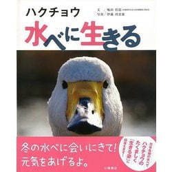 【バーゲンブック】ハクチョウ水べに生きる [絵本]