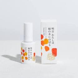 フェミニンミスト