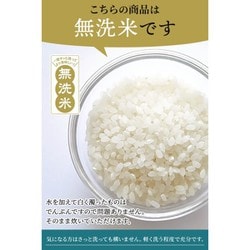 ヨドバシ.com - 野沢農産生産組合 長野県産ミルキクイーン 流