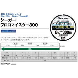 未開封　シーガー　フロロマイスター　バスＸ　5個セット 未開封 シーガー フロロマイスター バスX 5個セット