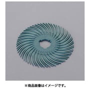 EA819AY-101 [50.8×9.5mm/# 80 特殊樹脂ディスク（5枚）]