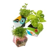 OB-UJK-11 [アーバンジャングルキット Urban Jungle Kit プラントポット（植物鉢） 熱帯雨林の動物コレクション A（オラウータン/アカメアマガエル/オオハシ）]
