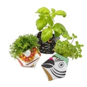 OB-UJK-13 [アーバンジャングルキット Urban Jungle Kit プラントポット（植物鉢） 熱帯雨林の動物コレクション C（クサリヘビ/クロヒョウ/インコ）]