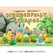 FLABJACKS Wonderfully Strange シリーズ 1BOX（10個入） [コレクショントイ]