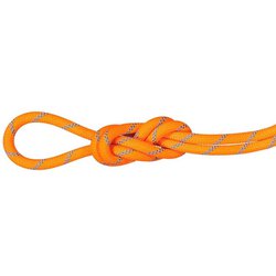 8.7 アルパインセンダードライロープ 8.7 Alpine Sender Dry Rope 8.7mm 2010-04190 11285 Dry Standard, vibrant orange-ocean 60m [ロープ]