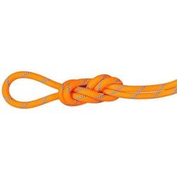 8.7 アルパインセンダードライロープ 8.7 Alpine Sender Dry Rope 8.7mm 2010-04190 11285 Dry Standard, vibrant orange-ocean 70m [ロープ]