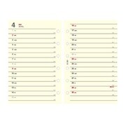 【限定】<2023年1月始まり>ミニ6穴リフィル 月間ホリゾンタル E1351