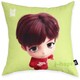 BTS TinyTAN MICDrop CUSHION COVER（J-HOPE）
