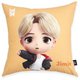BTS TinyTAN MICDrop CUSHION COVER（JIMIN）