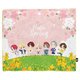 BTS TinyTAN For Season Blanket（Spring）