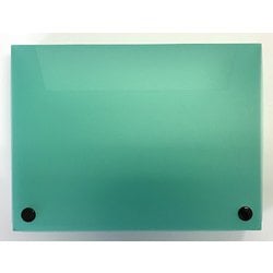 フロスティケース A5 グリーン 49130-06