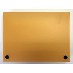 フロスティケース A5 オレンジ 49130-07