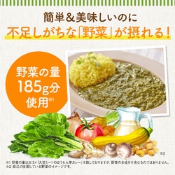 ヨドバシ.com - カゴメ KAGOME 大豆ミートのほうれん草カレー 160g