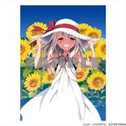 Fate/kaleid liner プリズマ☆イリヤ B2タペストリー ひろやまひろしイラスト [キャラクターグッズ]