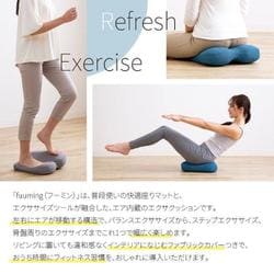 ドリーム プロイデア エアシェイプマット fuuming スモークグレー ヨドバシ.com - プロイデア PROIDEA 0070-4155-00 [エアシェイプ