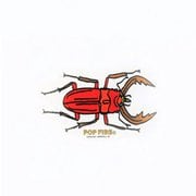 OUTDOOR STICKER 4 PS0027 クワガタ [アウトドア ロゴステッカー]