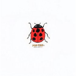 OUTDOOR STICKER 4 PS0030 テントウ [アウトドア ロゴステッカー]