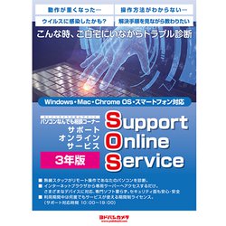 Support Online Service 3年版