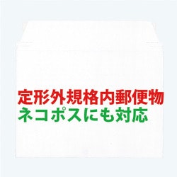 キングコーポ ビジネスバッグ 小 100枚入（310×225） KBB008