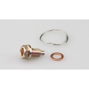 ワイヤーロックドレンボルト M10×L14×P1.5mm カワサキ (平径:14mm) 105-1201