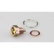 ワイヤーロックドレンボルト M12×L12×P1.5mm ホンダ/ヤマハ/カワサキ (平径:17mm) 105-1202