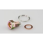 ワイヤーロックドレンボルト M12×L15×P1.5mm ホンダ (平径:17mm) 105-1203