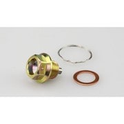 ワイヤーロックドレンボルト M14×L11×P1.25mm スズキ (平径:17mm) 105-1206