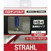 LE-06 [シュトラールハロゲンバルブ HB4 5300K ロングライフ]