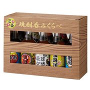 限定 泡盛 呑みくらべミニュチュアセット（100ml×10本） [泡盛]