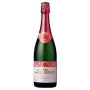 ラ・ノビア 750ml スペイン/ペネデス地方 [スパークリングワイン]