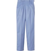 FH-824-3L [サンペックス 女パンツ サックス]