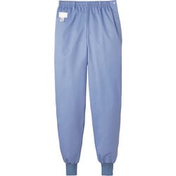 FH-838-LL [サンペックス 女性用パンツ サックス]