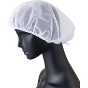 G-5077 [サンペックス ヘアーネット（10枚入） 白]